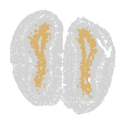 ../../_images/7ee22c253e7b8d333a5181897dae73999c408bfac0b7e8e49f58dde1318421e4.png